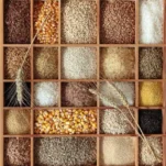 88b54d96d591e6727186775099ead63b